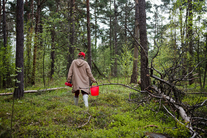 Virkistysmetsä turvattava tuleville sukupolville