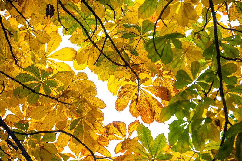 Valtuustoaloitteemme on kuultu